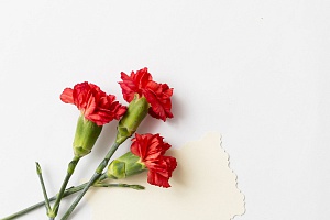 День снятия блокады Ленинграда